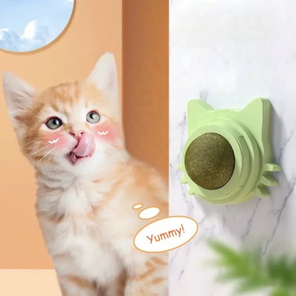 Catnip Wall-Mounted Treat Ball (Pack Of 2)