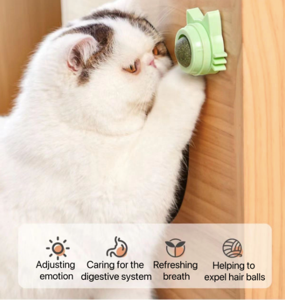 Catnip Wall-Mounted Treat Ball (Pack Of 2)