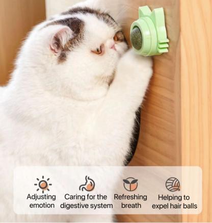 Catnip Wall-Mounted Treat Ball (Pack Of 2)